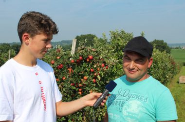 Apfel- und Birnenernte in Welkenraedt