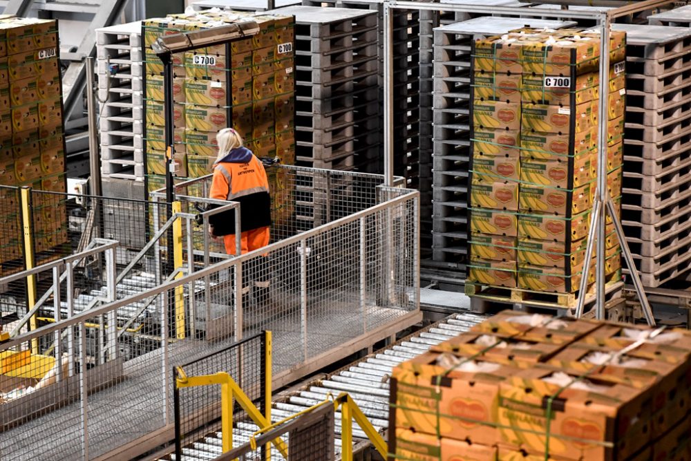 Obstkisten im Antwerpener Hafen