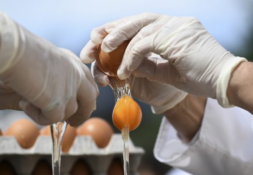 Riesenomelett in Malmedy (Archivbild 2017: John Thys/AFP)