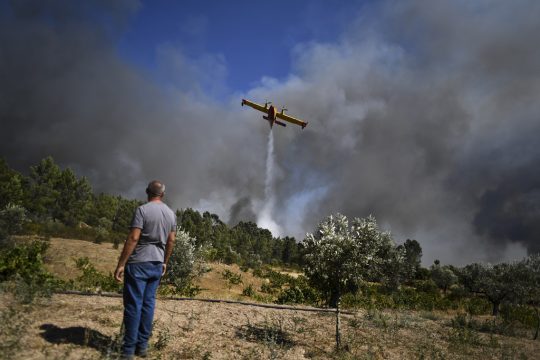Waldbrände in Portugal