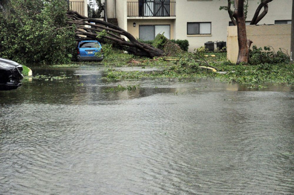 Der Hurrikan Irma zieht über Florida hinweg