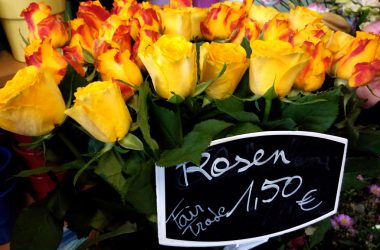 Bei Sonja Radermeker-Theissen gibt es faire Blumen