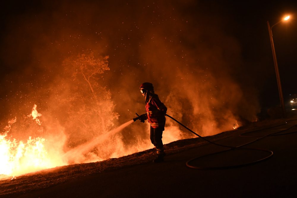 Verheerende Waldbrände in Portugal