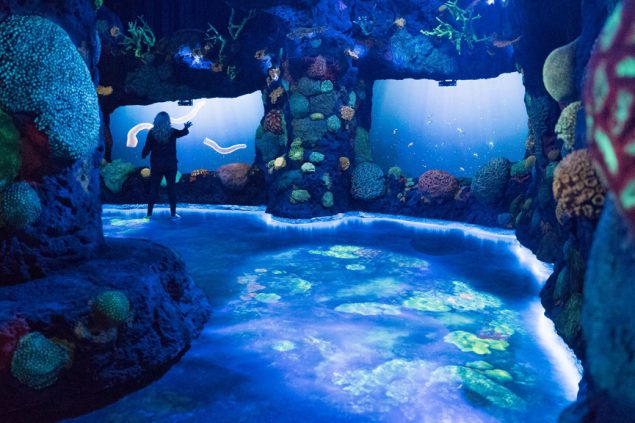 Virtuelle Unterwasser-Ausstellung in New York eröffnet