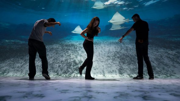 Virtuelle Unterwasser-Ausstellung in New York eröffnet