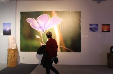 "Kunst an der Grenze": Neueröffnung der Kunstgalerie Ars Ardenn