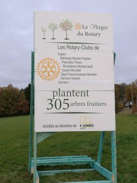 Auf dem Gelände der Gemeinnützigen Entwicklungsgesellschaft CADRE in Malmedy entsteht ein großer Obstgarten (Bild: CADRE)