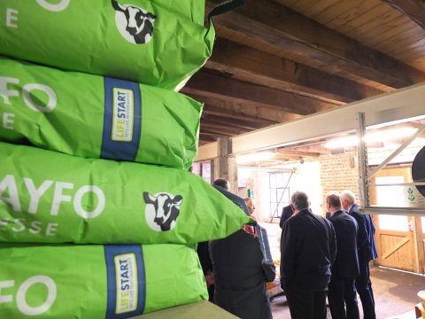 Futtermittelbetrieb SCAR in Büllingen (Bild: Stephan Pesch/BRF)