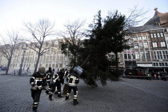 Weihnachtsbaum wird aufgerichtet