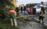 Sturm kippt Baum auf Schulbus - keine Verletzten