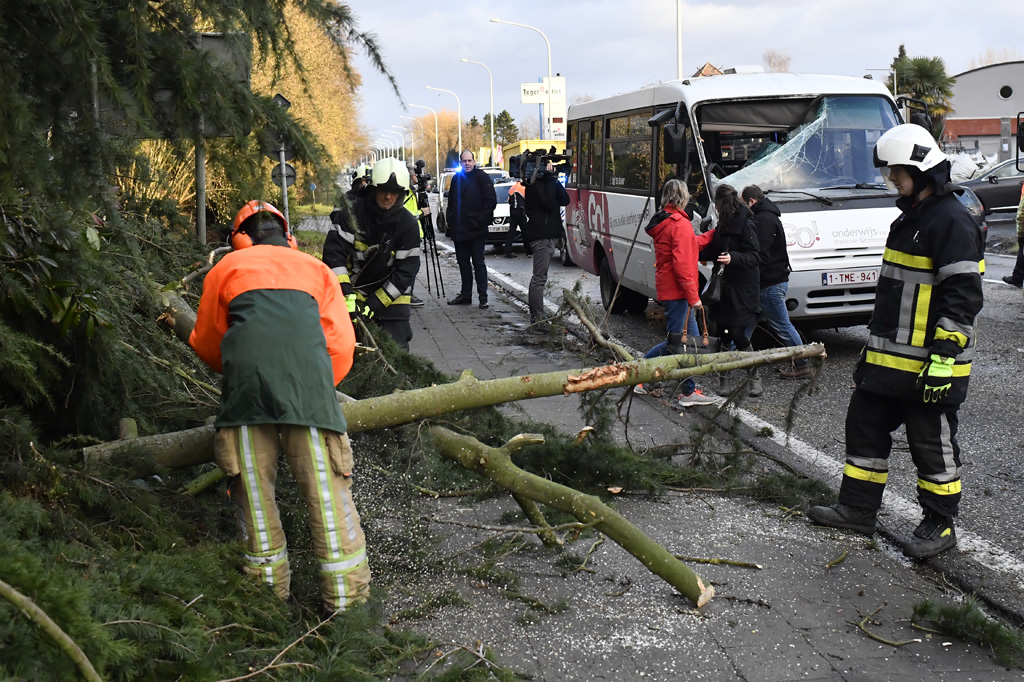 Sturm kippt Baum auf Schulbus - keine Verletzten