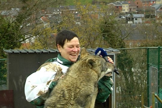 BRF-Reporterin Chantal Delhez im Wolfcenter in Bilstain (Bild: BRF)