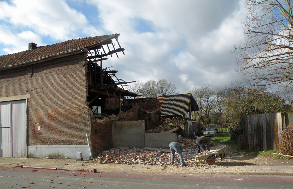 Nach dem Sturmtief: Aufräumarbeiten in Maasmechelen