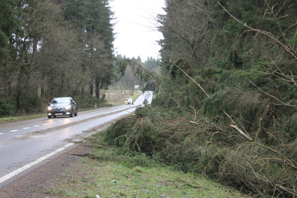 Sturmschäden in Ostbelgien (Bild: Jean-Marc Vanheren/BRF)