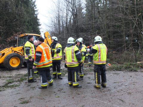 Sturmschäden zwischen Wereth und Herresbach (Bild: Stephan Pesch/BRF)