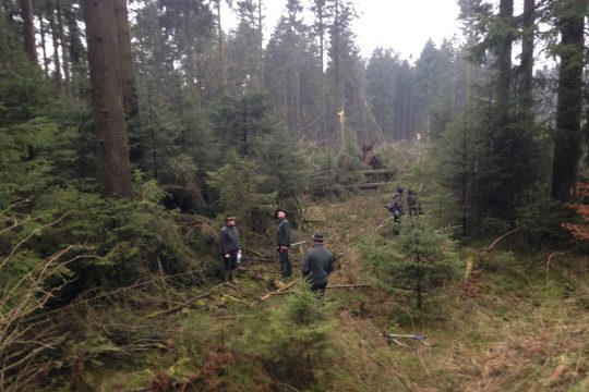 Windbruch im Eifeler Wald (Bild: Michaela Brück/BRF)