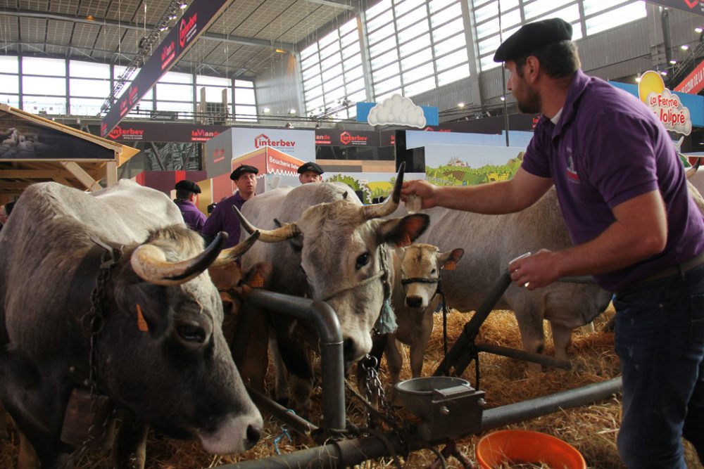 Landwirtschaftsmesse in Paris (Bild: Zhang Xuefei/Xinhua/Belgaworld)