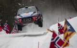 Thierry Neuville/Nicolas Gilsoul im Hyundai i20 Coupé WRC am Freitag in Schweden