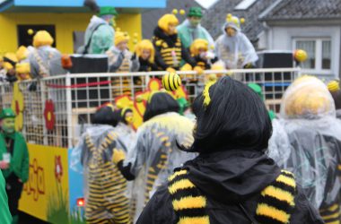 Karnevalszug in Raeren 2018 (Bild: Stefan Braun/BRF)