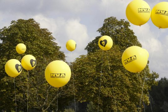 N-VA (Illustrationsbild: Nicolas Maeterlinck/Belga)