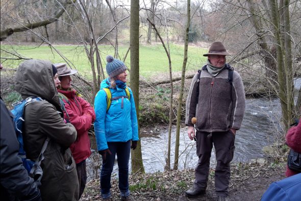 Narzissen-Wanderung in Kelmis mit Michael Zobel (Bild: Rudi Schroeder/BRF)