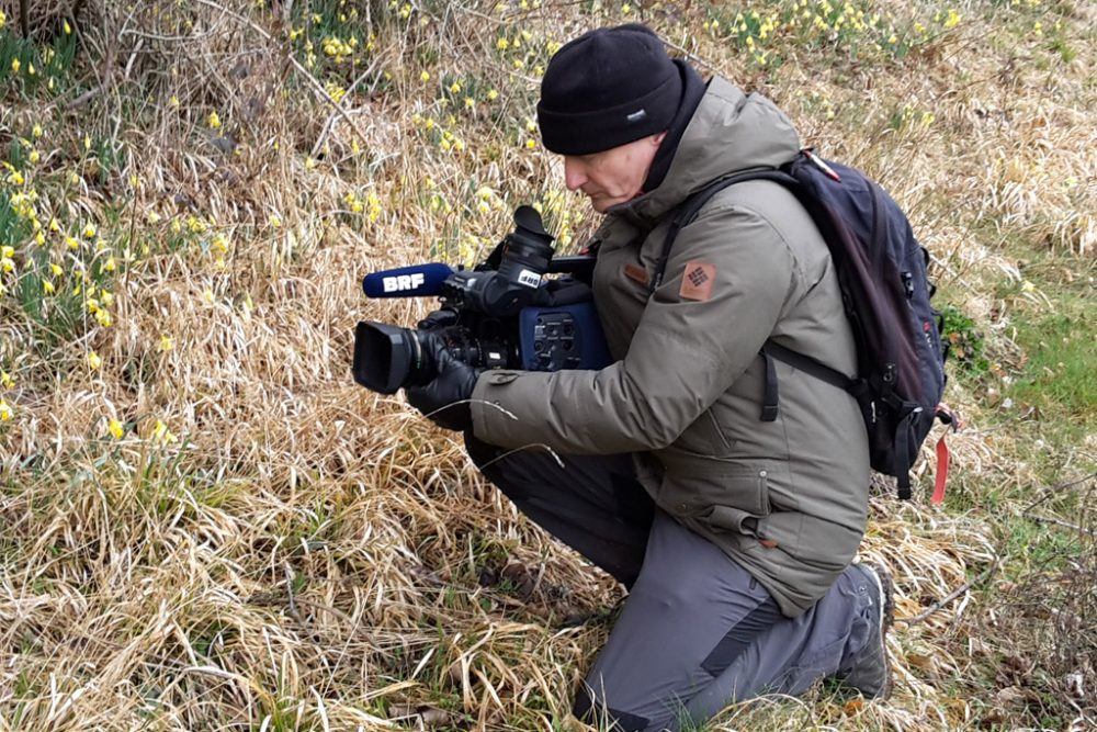 Narzissen-Wanderung in Kelmis (Bild: Rudi Schroeder/BRF)