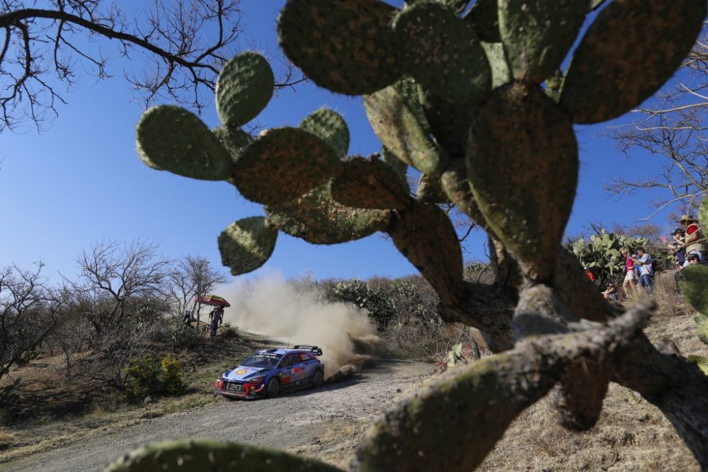 Thierry Neuville/Nicolas Gilsoul im Hyundai i20 Coupé WRC beim Shakedown der Rallye Mexiko