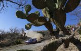 Thierry Neuville/Nicolas Gilsoul im Hyundai i20 Coupé WRC beim Shakedown der Rallye Mexiko