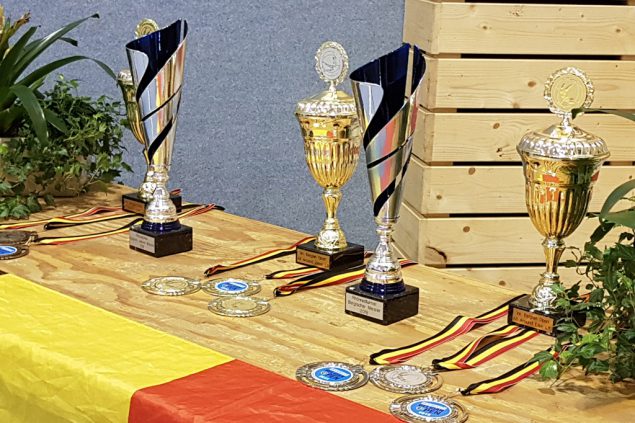 Rhönrad: Lara Patzer verpasst das Podium bei den Belgian Open nur knapp (Bild: Christophe Ramjoie/BRF)