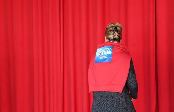 Pullit mit SPD-Mitgliederentscheid-Logo