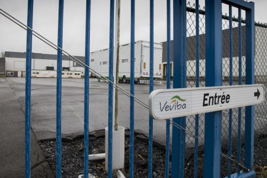 Veviba: Nuene Fleischskandal