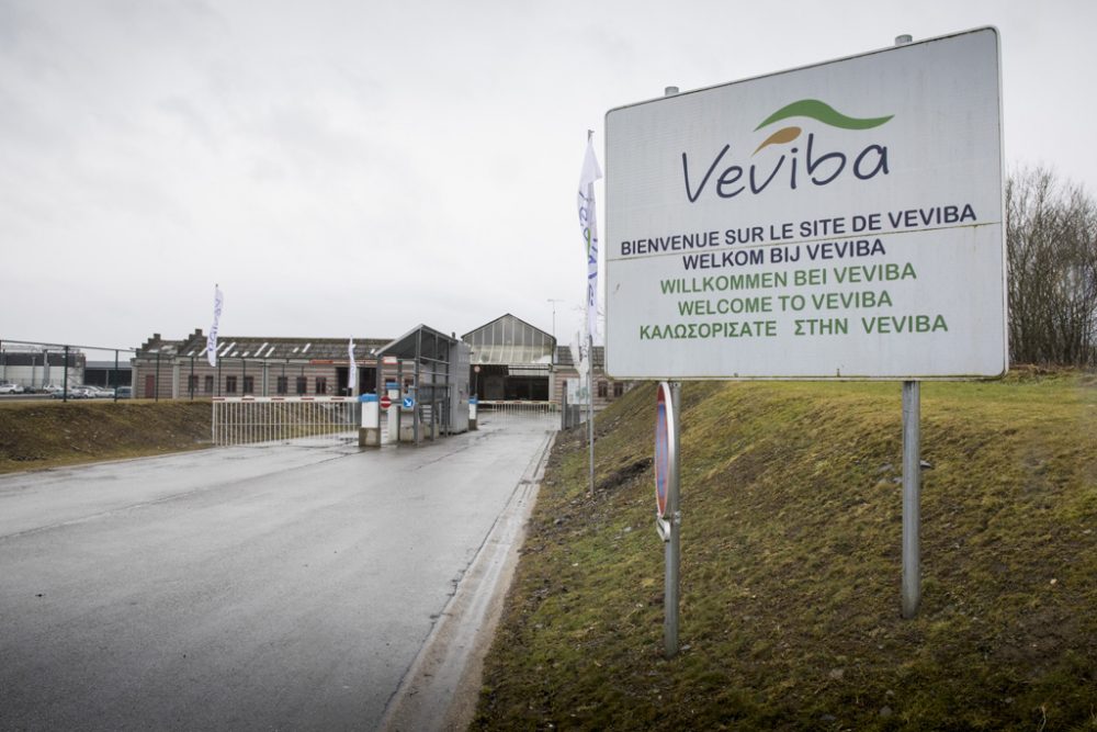 Veviba in Bastogne