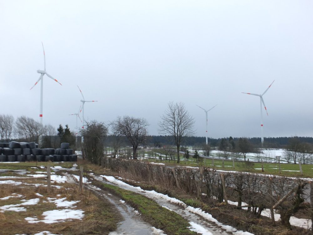 Windpark Bolder-Biert bei Büllingen