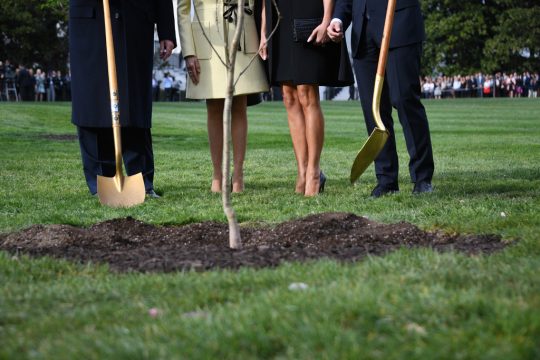 Emmzanuel Macrons Baum für Donald Trump (23.4.2018)