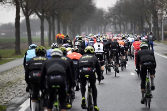 Flandernrundfahrt 2018 (Bild: Dirk Waem/Belga)