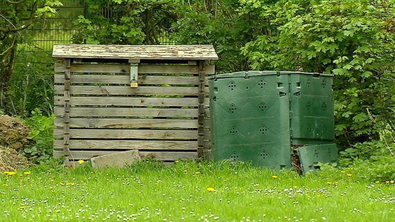 Kompost (Archivbild: BRF Fernsehen)