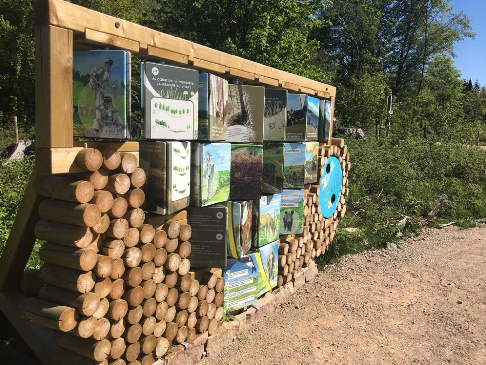 Neuer Naturlehrpfad und neuer Wanderweg am Naturparkzentrum Botrange (Bild: Simonne Doepgen/BRF)