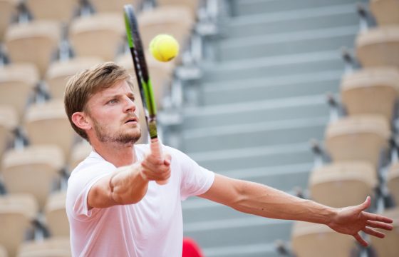 David Goffin