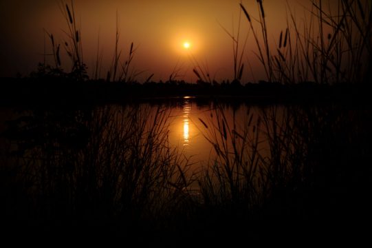 Sonnenuntergang (Illustrationsbild: Yorick Jansens/Belga)