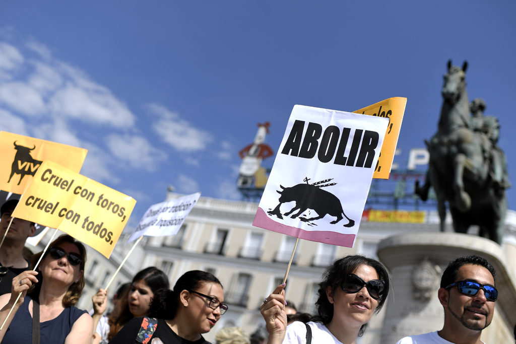 Zehntausende fordern Verbot von Stierkämpfen in Spanien