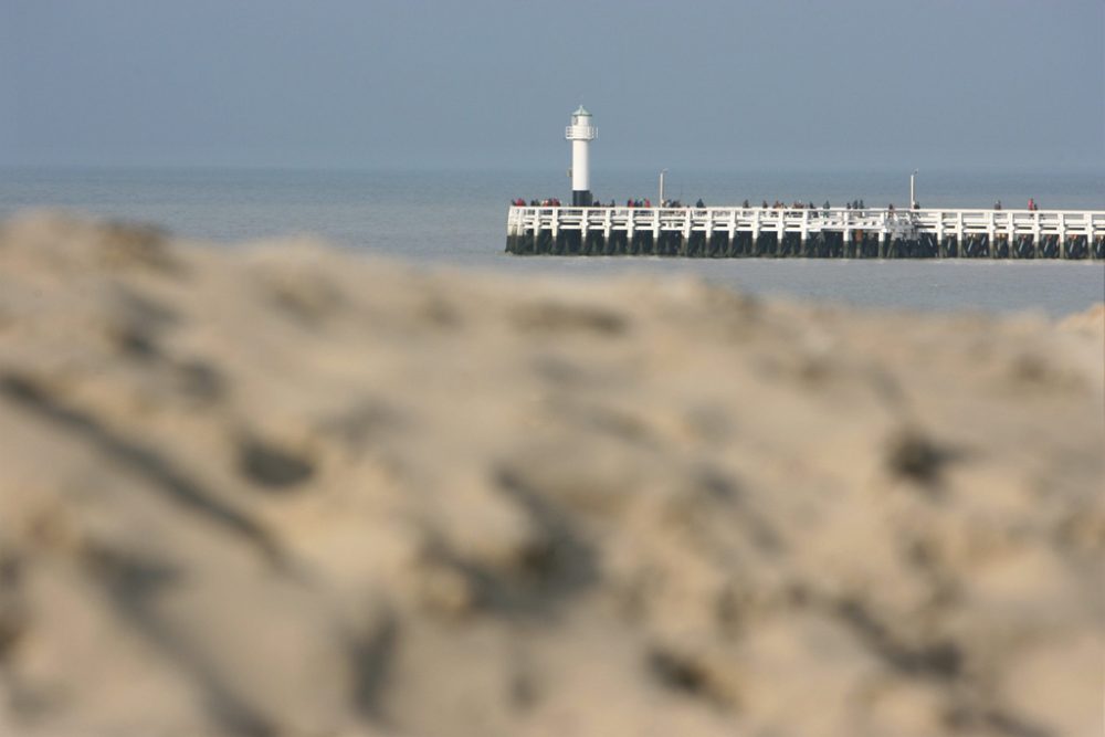 Der Strand von Nieuwpoort am 23.2.2007)