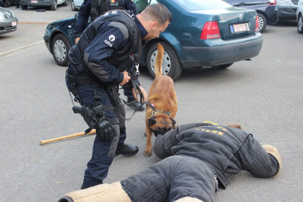 Polizisten der Großregion treffen sich in Eupen (Bild: Chantal Scheuren/BRF)