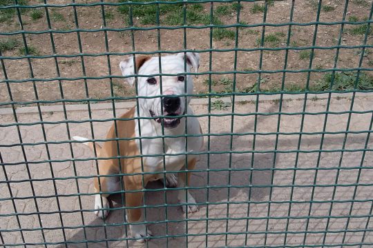 Archivbild: Chantal Delhez/BRF