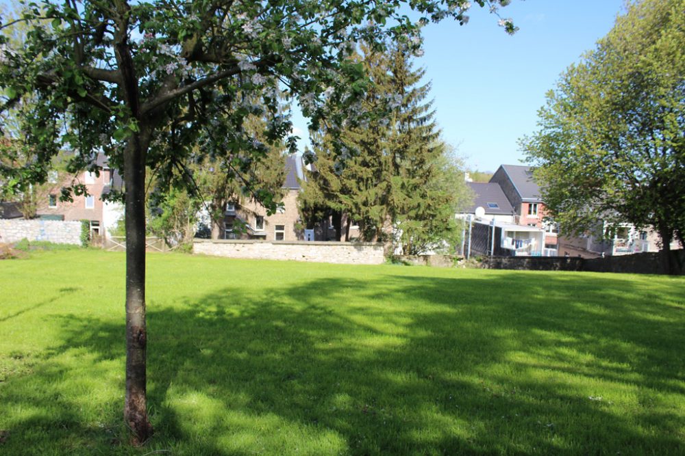 Neuer Viertelgarten im Park Loten (Bild: Simonne Doepgen/BRF)