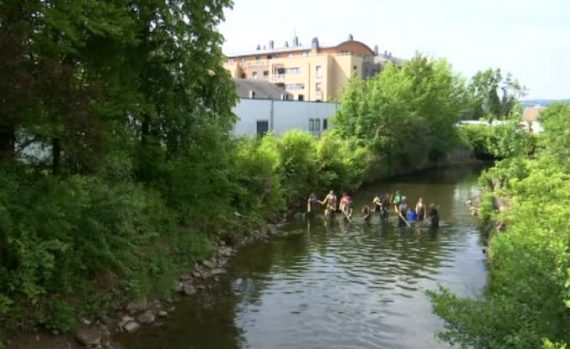 Fischzählung in der Warche bei Malmedy