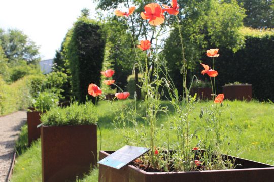 Bild: Chantal Scheuren/BRF