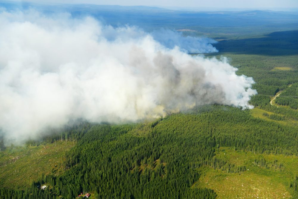 Waldbrände in Schweden