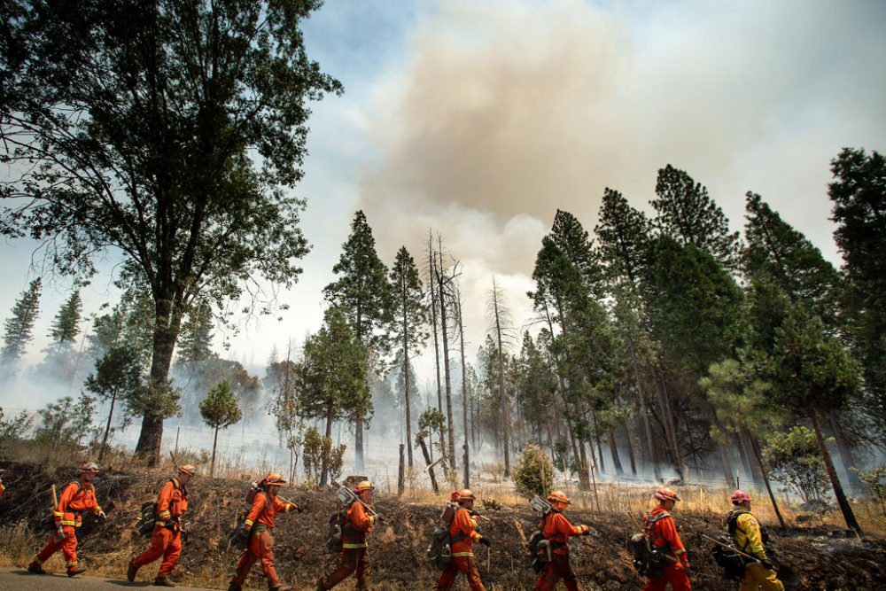 Waldbrand im Yosemite-Nationalpark