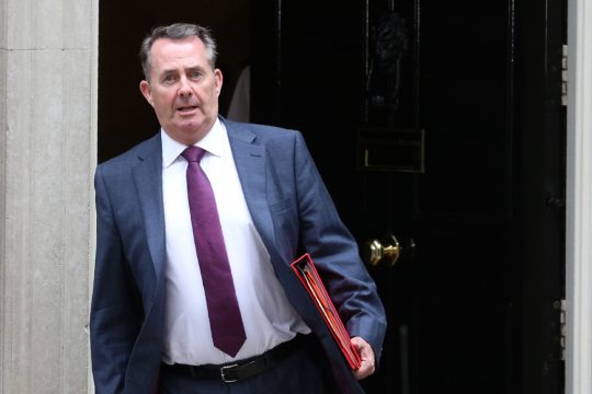 Der britische Handelsminister Liam Fox