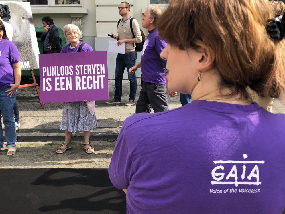 "Schmerzfrei sterben ist ein Recht" ist auf dem Plakat der Demonstrantin zu lesen (Bild: Nils Quintelier/Belga)